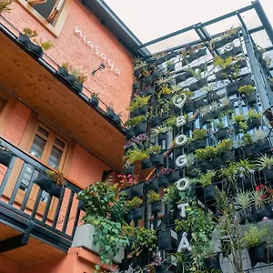 masaya-hostel-bogot.hotels-bogota.net/